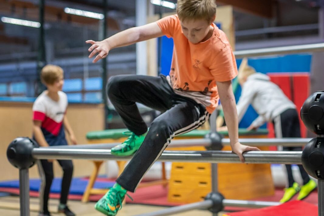 cropped-Askelylitys_kuvaJanneEnroos-1.jpg
